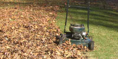 mulch mowing