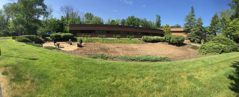 The landscapers covered the seed compost sand mixture with straw to keep it moist and protected.