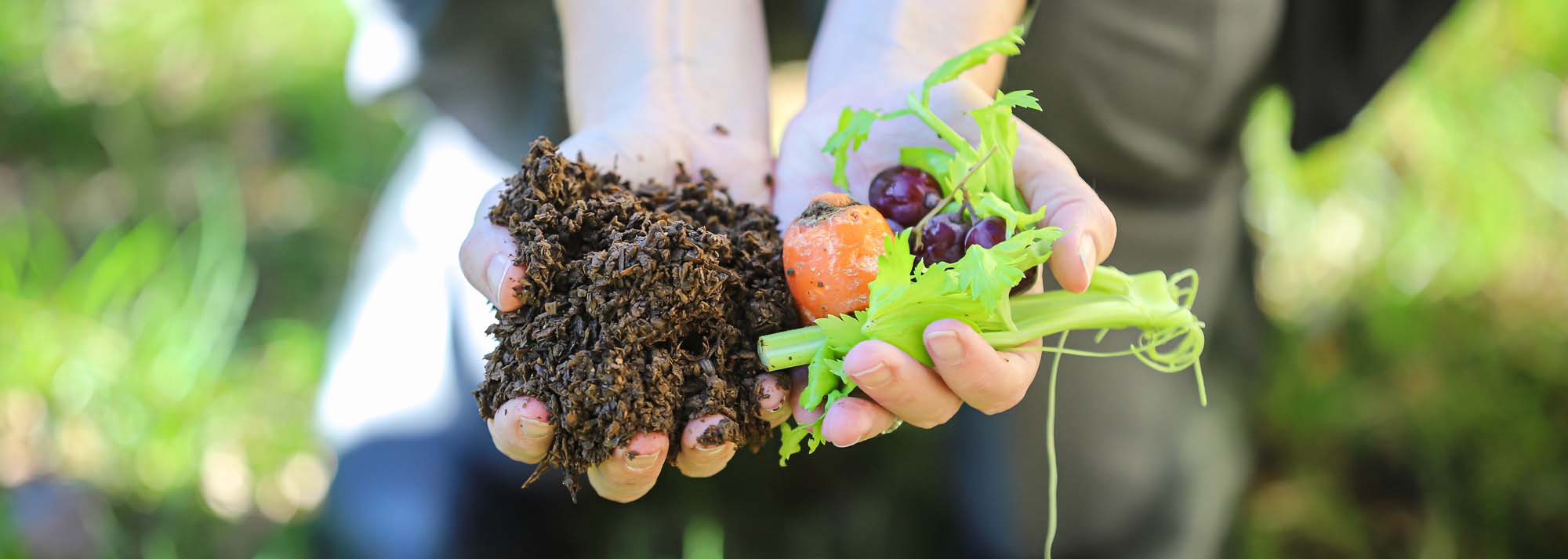 Compost banner