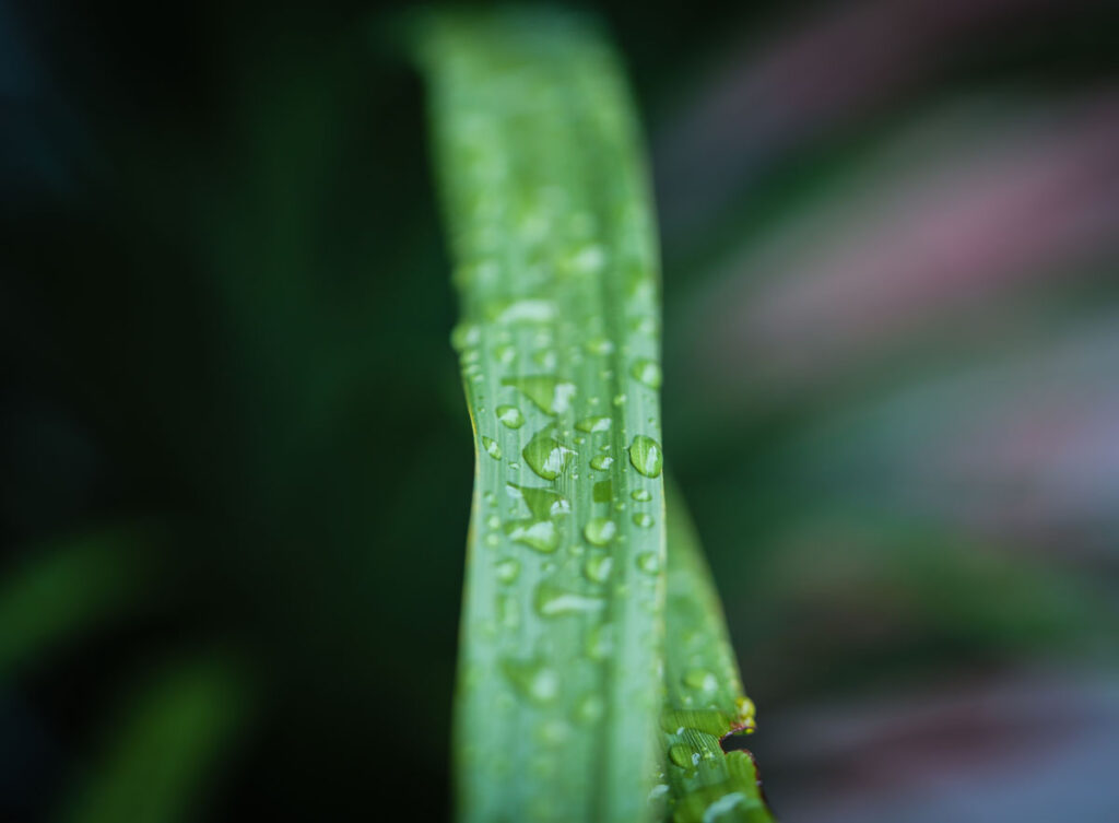 businesses photo landscaping