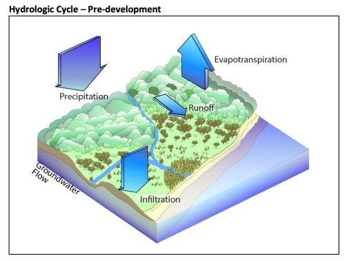 Pre-development