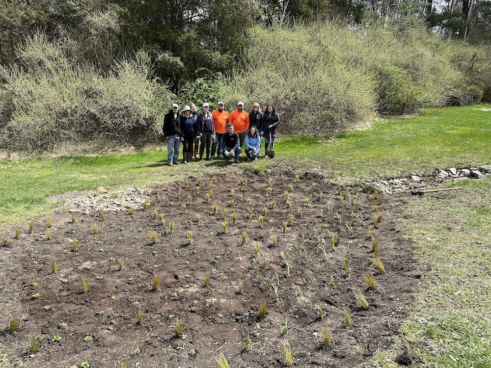 rain garden 101 workshop photo