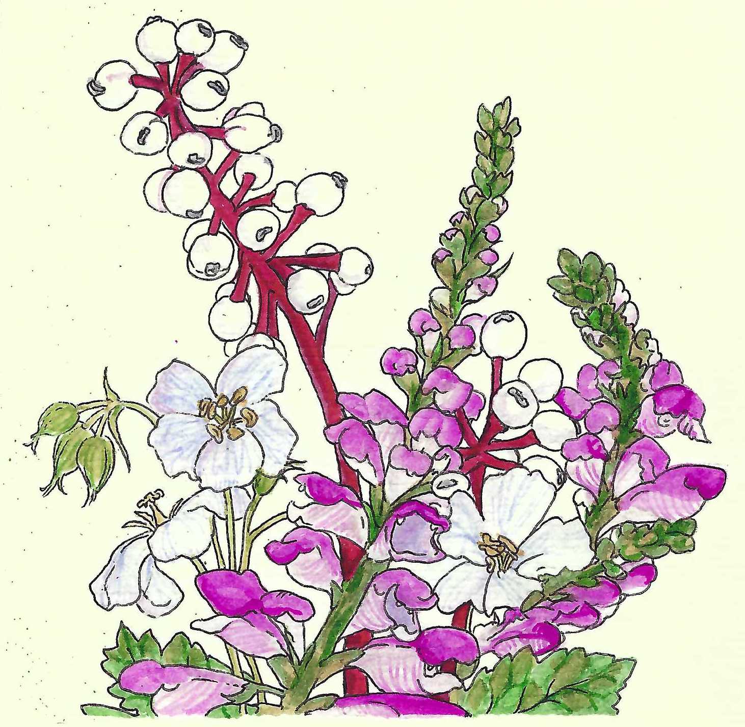 MPR flowers