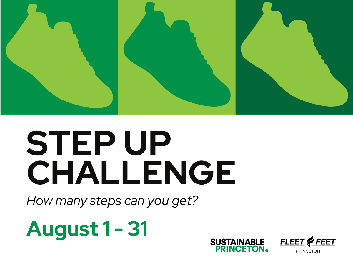 website step challenge