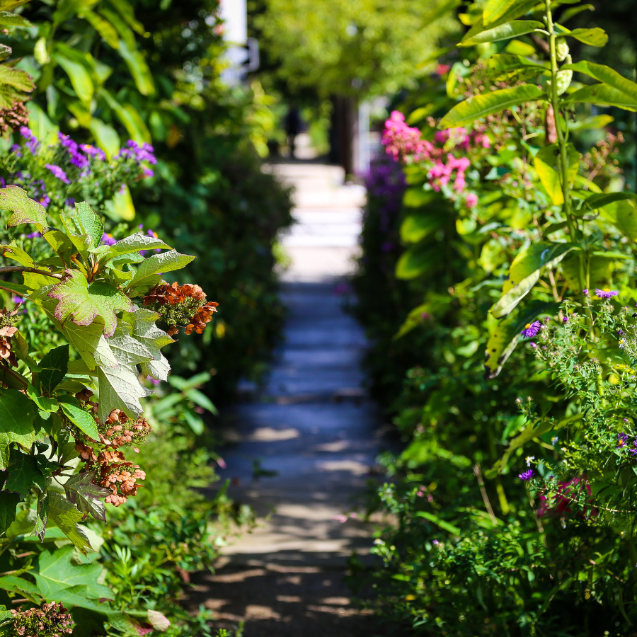 garden path