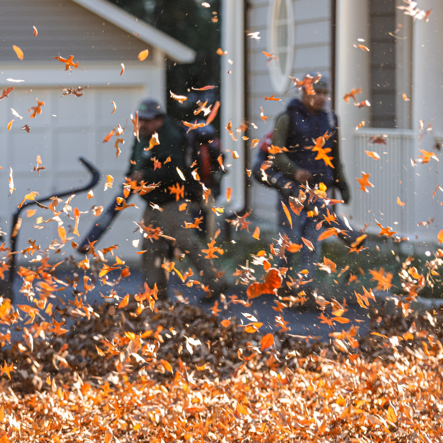 landscaper using a leaf blower to blow leaves