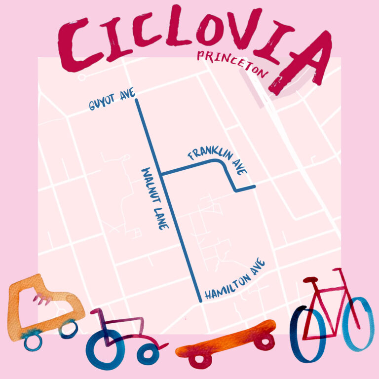 ciclovia map 768x768