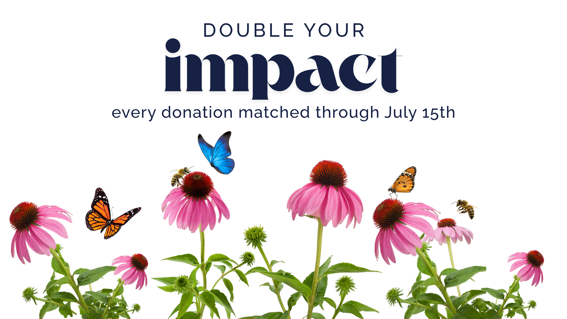 double your impact banner
