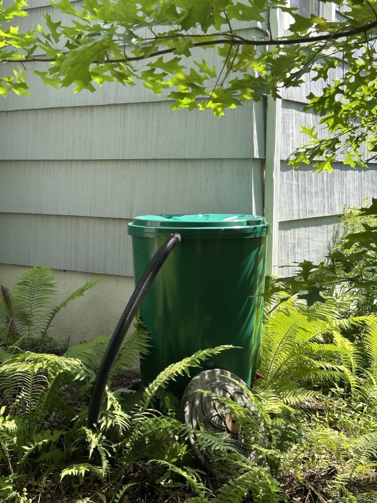 terri rain barrel