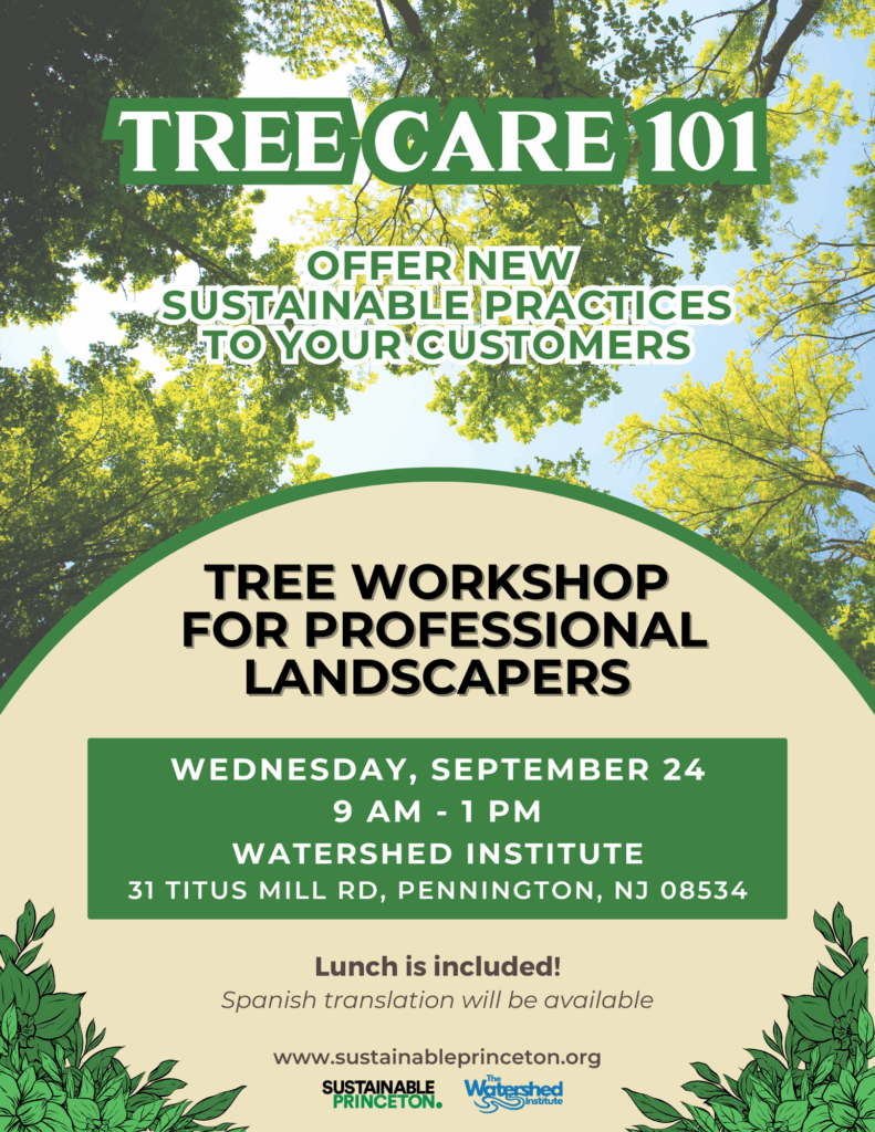 Tree care 101 flyer