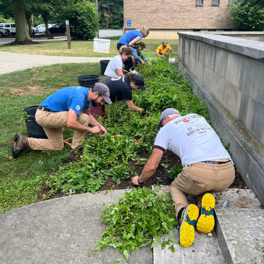 website tile image (church and dwight)