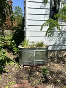 1310BD66 7433 48E5 B69E 7C6CD03388D6