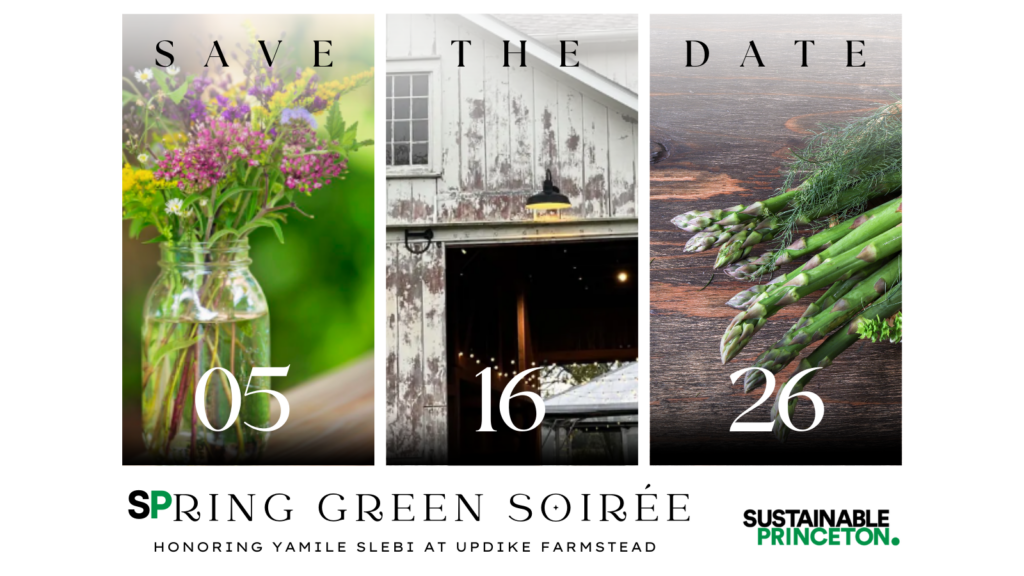 Save the date (website)