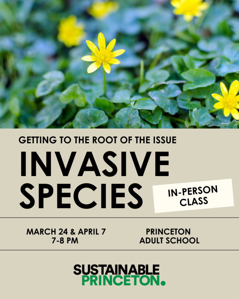 root of the issue class