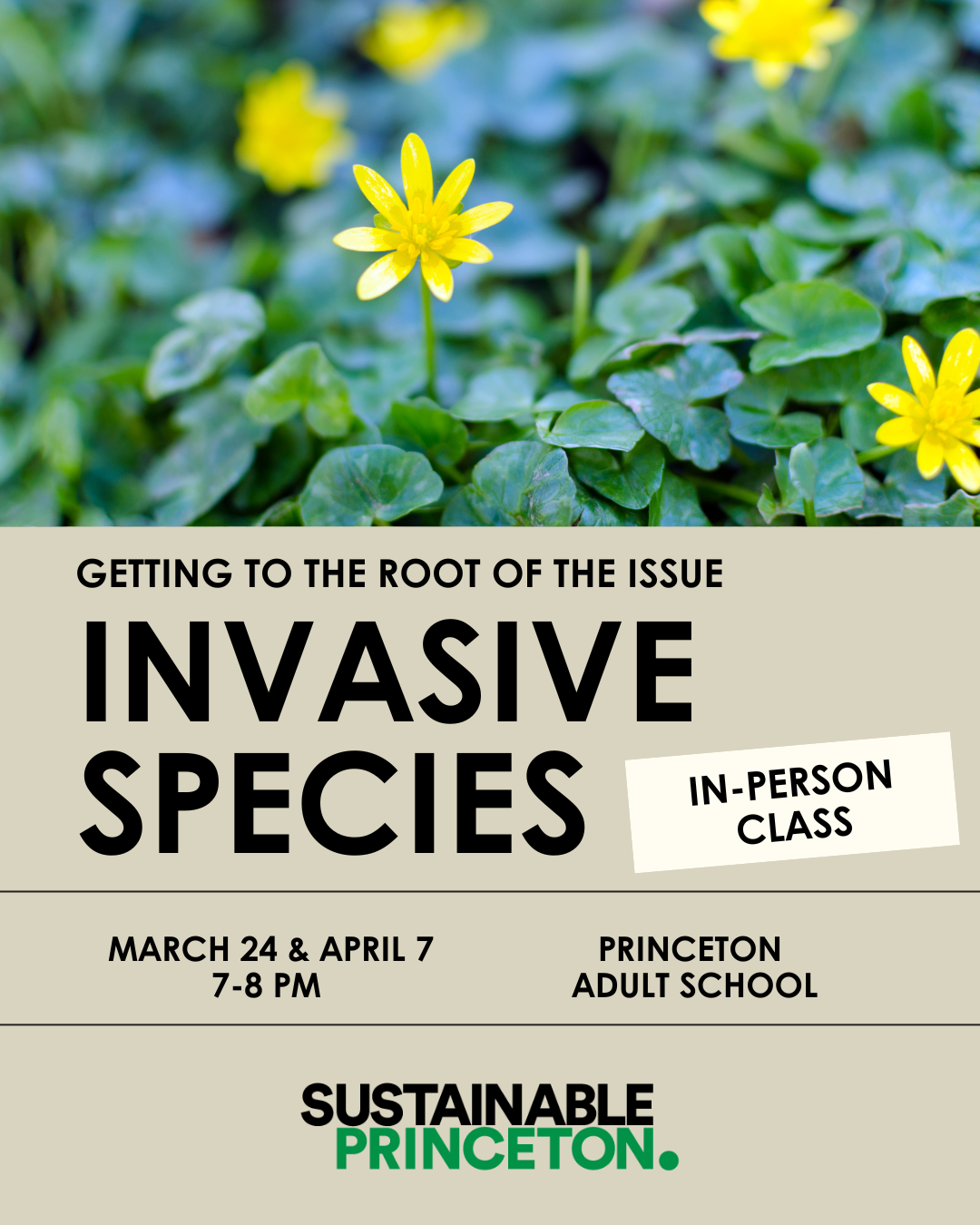 root of the issue class