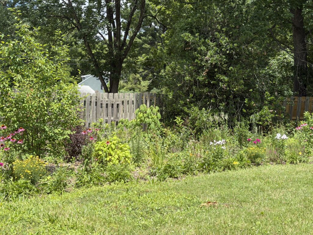 eve's meadow