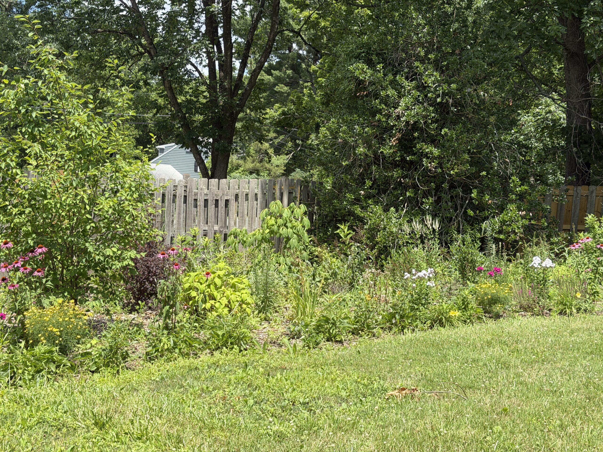 eve's meadow